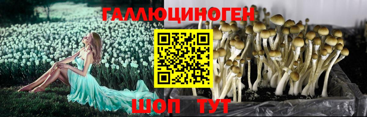 Галлюциногенные грибы MAGIC MUSHROOMS Мыски