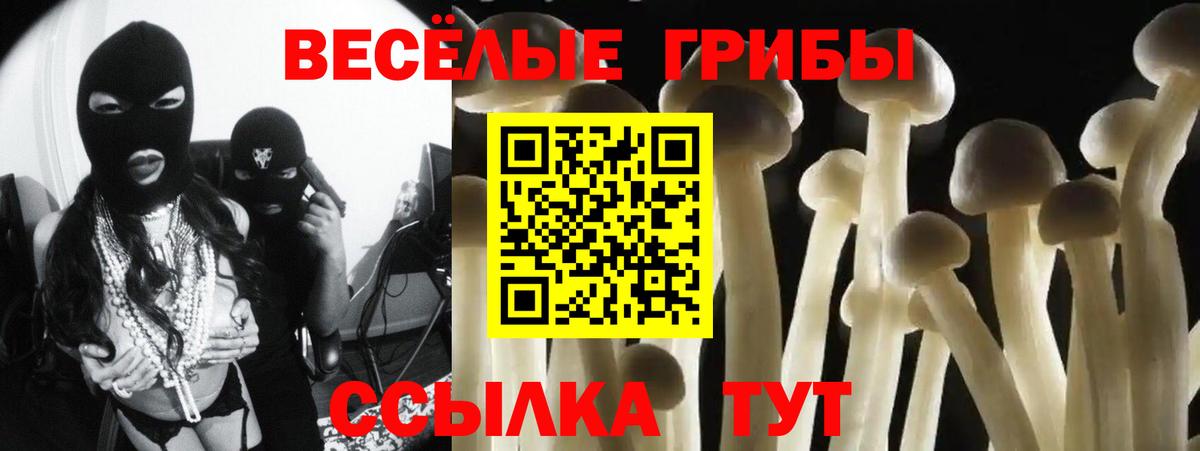 Псилоцибиновые грибы Psilocybine cubensis  Вход с VPN  Мыски 